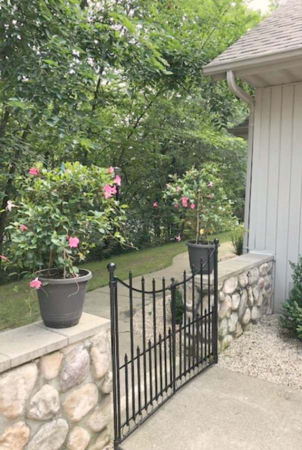 My French farmhouse inspired courtyard in summer with pea gravel, ferns, galvanized buckets, and boxwood - Hello Lovely Studio.