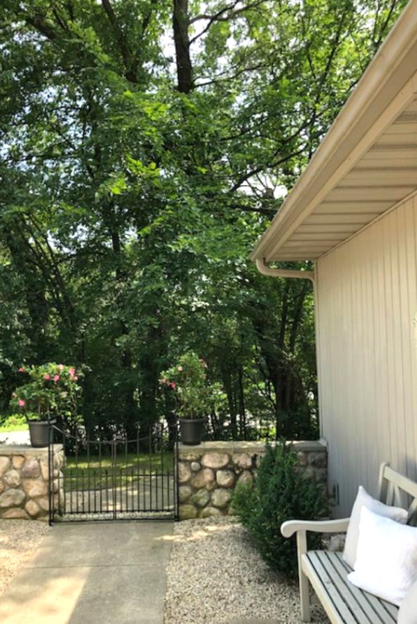 My French farmhouse inspired courtyard in summer with pea gravel, ferns, galvanized buckets, and boxwood - Hello Lovely Studio.