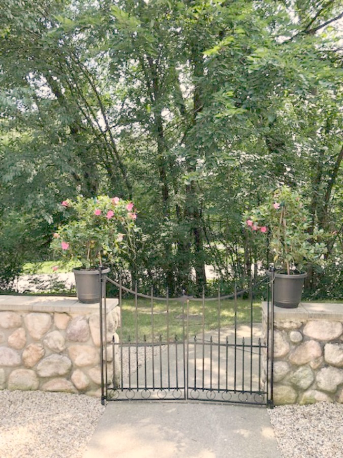 My Farmhouse French inspired courtyard in summer with pea gravel, ferns, galvanized buckets, and boxwood - Hello Lovely Studio.