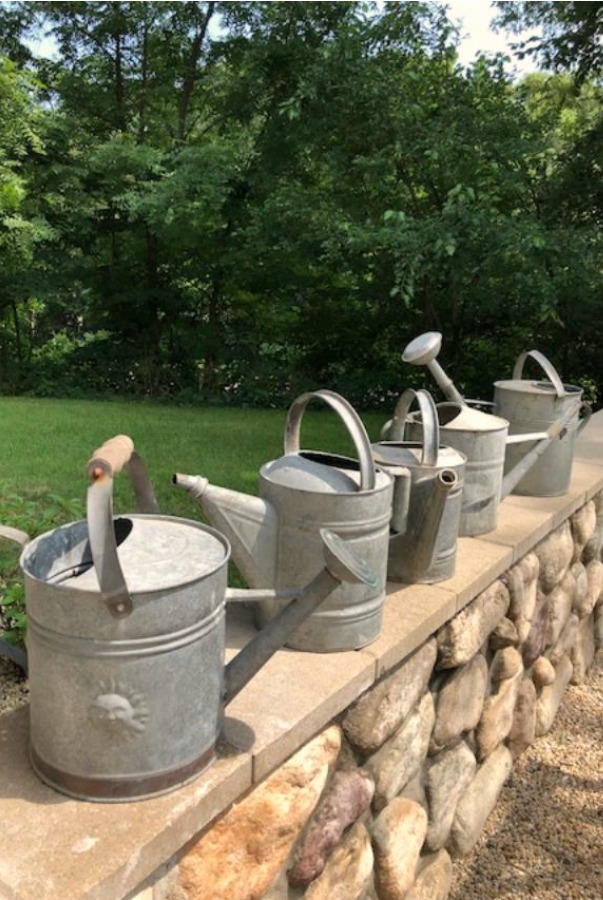 My Farmhouse French inspired courtyard in summer with pea gravel, ferns, galvanized buckets, and boxwood - Hello Lovely Studio.