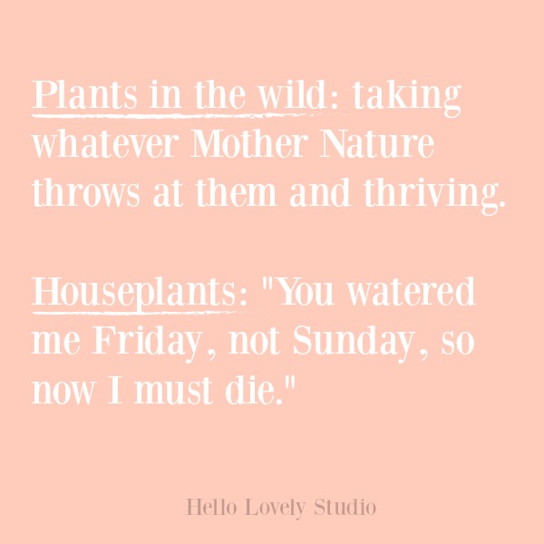 Inspirational quote, funny quote, and humor on Hello Lovely Studio. #quotes