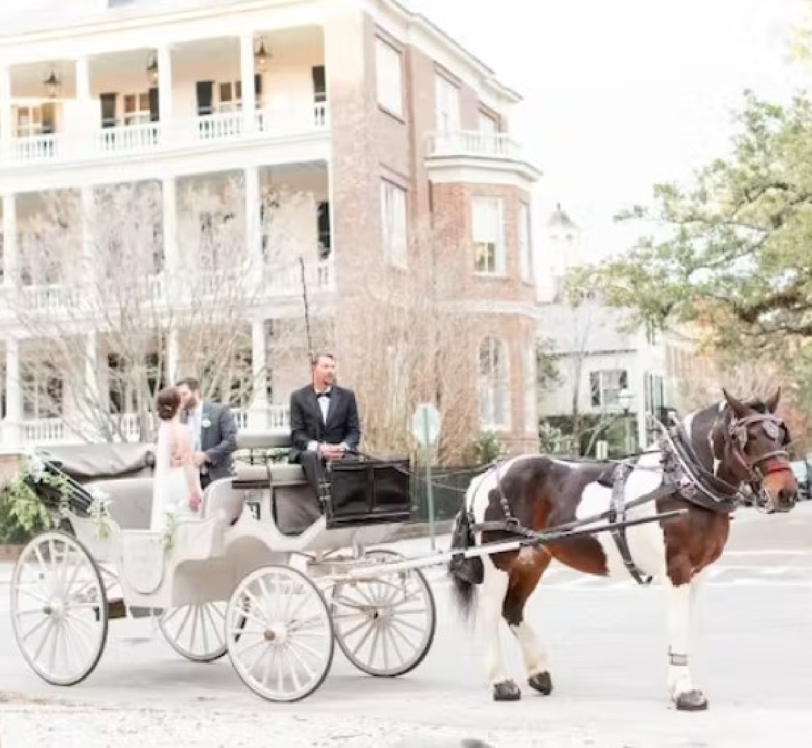 Palmetto Carriage wedding carriage ride in Charleston, SC. #palmettocarriage