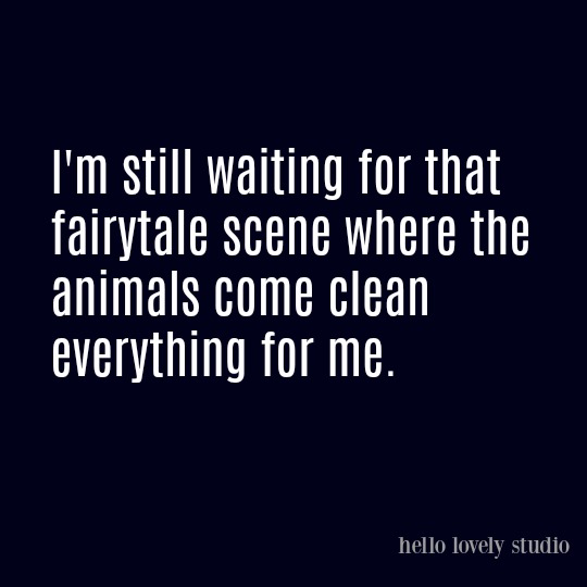 Humor quote on Hello Lovely Studio.