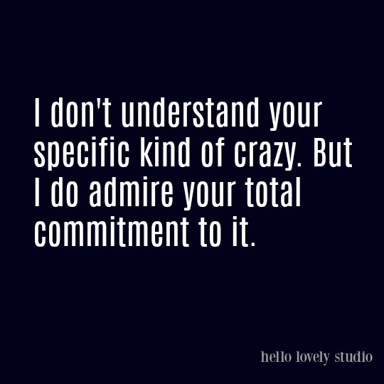 Humorous funny quote on Hello Lovely Studio - come enjoy a smile and soak up the lovely photos of interior design inspiration while you're at it!