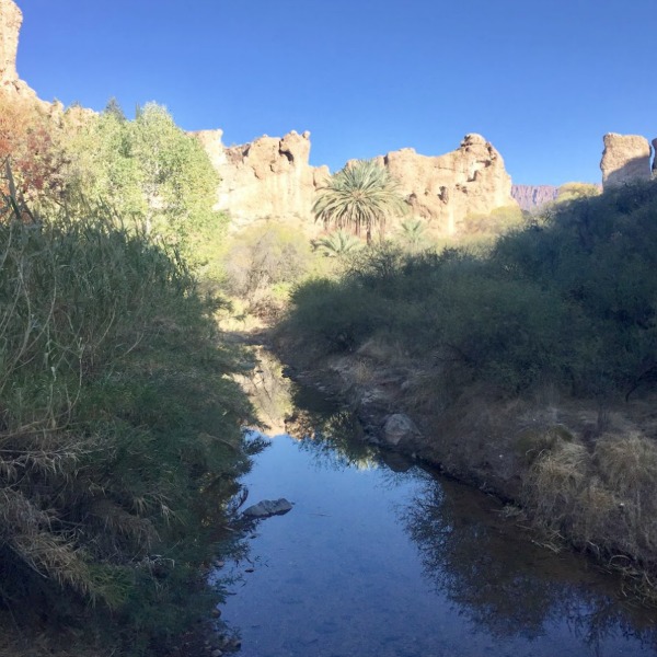 Desert stream in Arizona - Hello Lovely Studio.