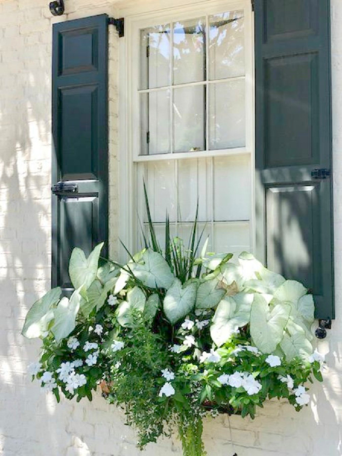 Charleston's charming historic district is graced with architecturally magnificent homes, secret gardens, lush window boxes, and colorful design inspiration. Come enjoy this photo gallery with Historic Charleston Mansion Exteriors on Hello Lovely Studio. #charlestonhomes #charlestongardens