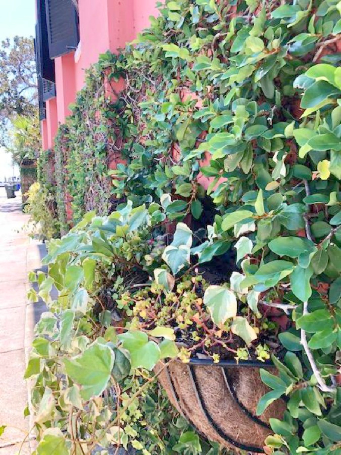 Charleston's charming historic district is graced with architecturally magnificent homes, secret gardens, lush window boxes, and colorful design inspiration. Come enjoy this photo gallery with Historic Charleston Mansion Exteriors on Hello Lovely Studio. #charlestonhomes #charlestongardens