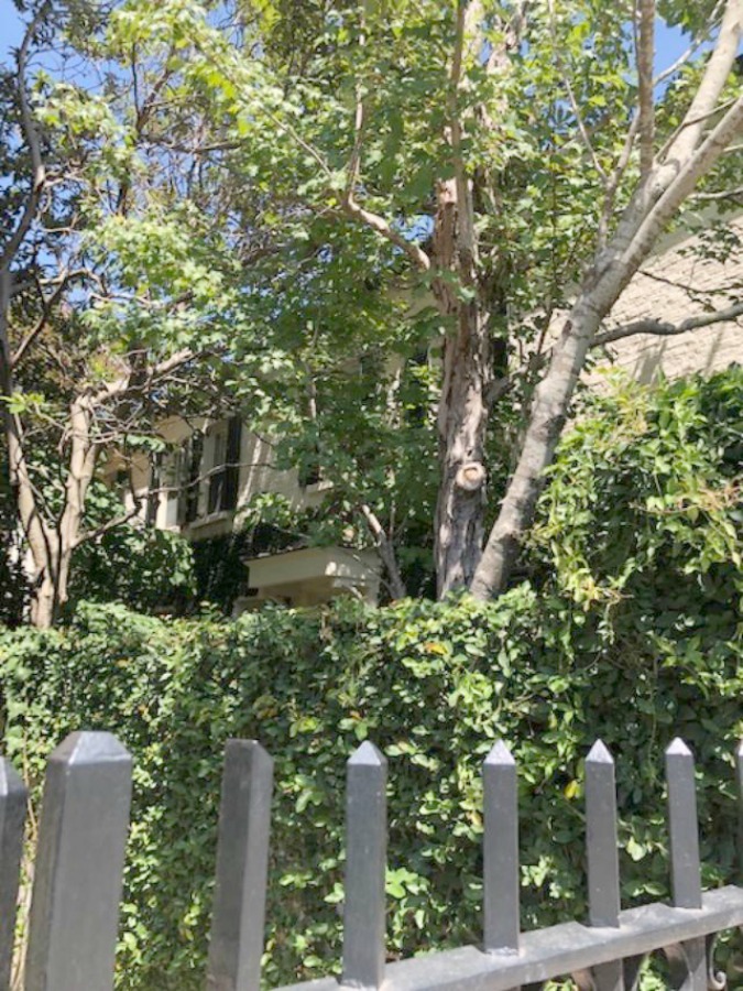 Charming downtown Charleston homes in the Battery are rich in architectural detail and traditional style! Photo by Hello Lovely Studio.