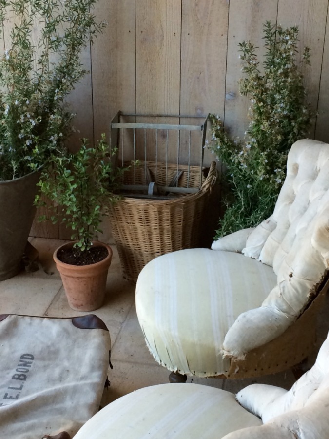 Rustic French basket on Patina Farm porch with a vintage chair and potted vines. Brooke Giannetti. Come peek at Charming Porch Inspiration & Decor Ideas. #patinafarm