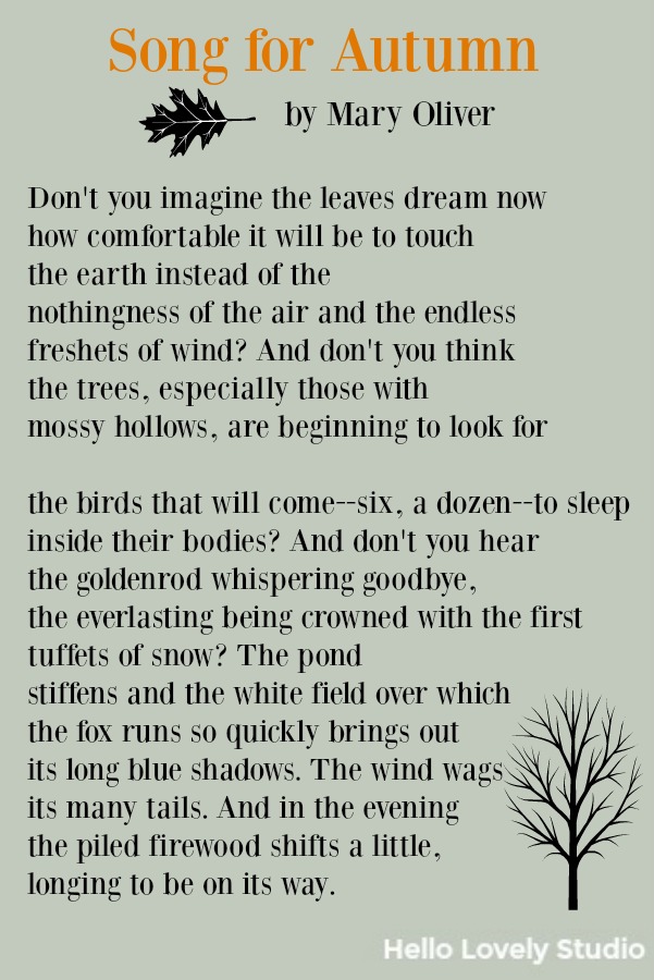 Poem by Mary Oliver about autumn. Song of Autumn.