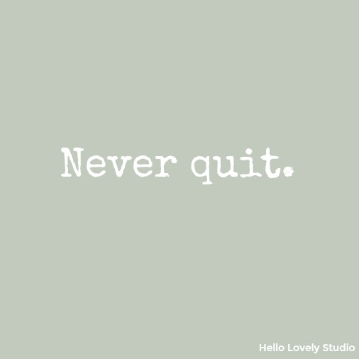 Never quit - inspirational quote on Hello Lovely Studio.