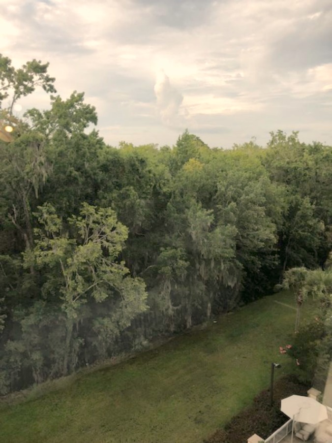 We stayed at the Double Tree by Hilton Hotel in North Charleston, and the room was immaculate and peacefully overlooking a forest. Hello Lovely Studio.