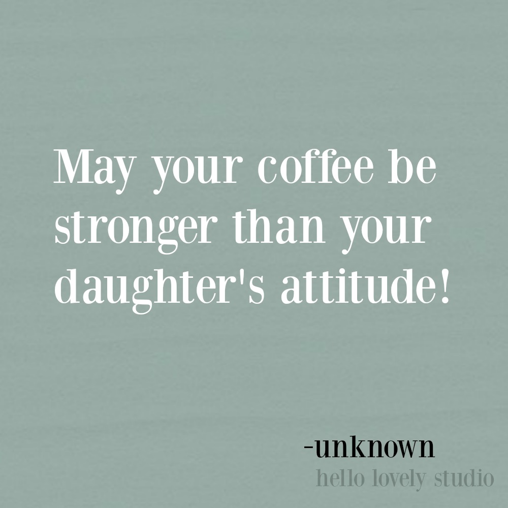 Funny quote with humor on Hello Lovely Studio.