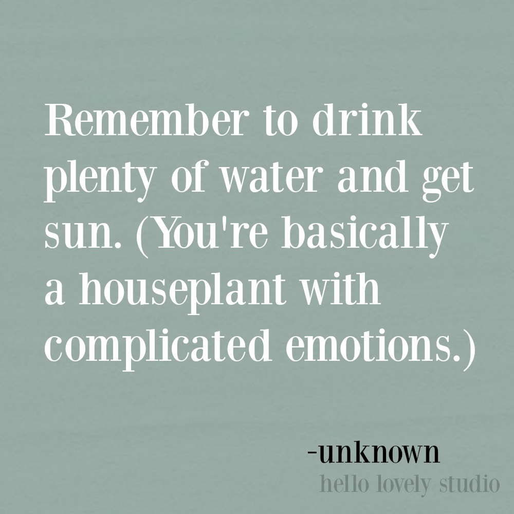 Funny quote with humor on Hello Lovely Studio.