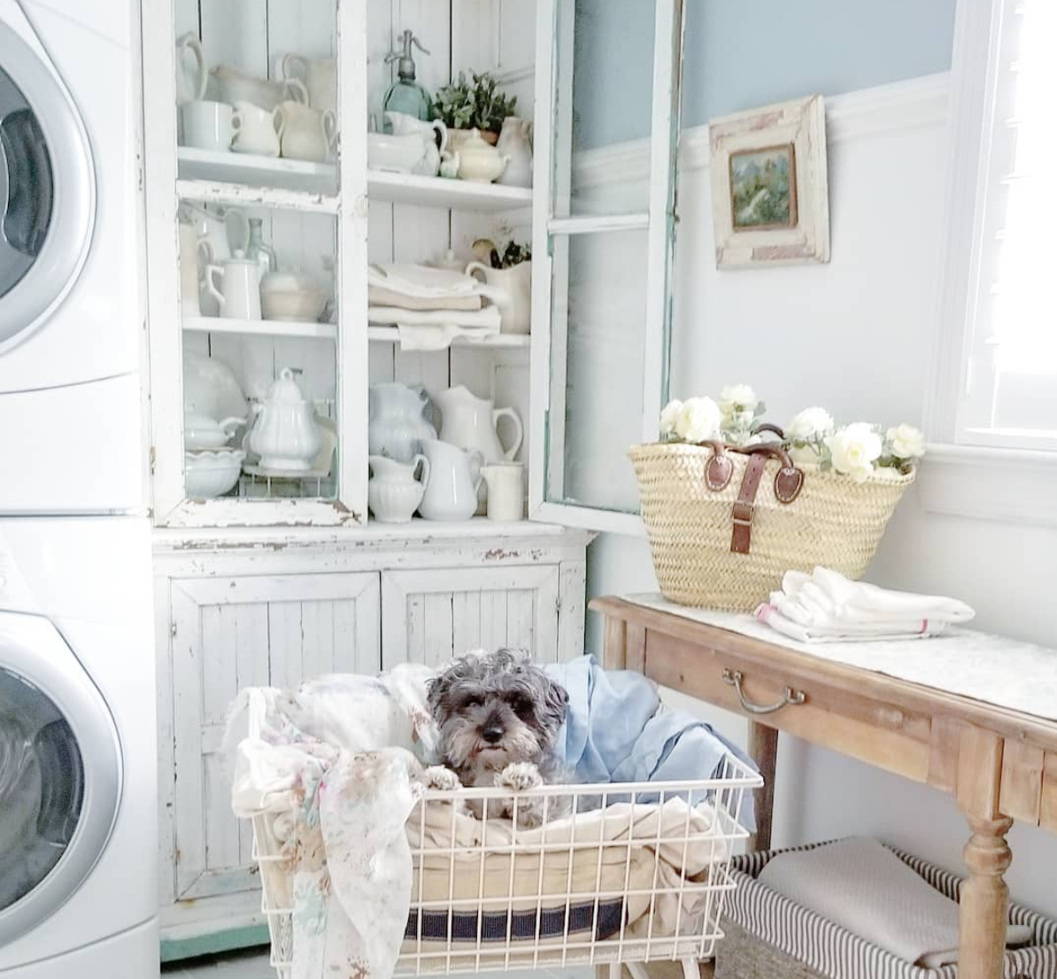 Vintage style beautiful laundry room by Pancake Hill with a sweet schnauzer in the laundry basket!