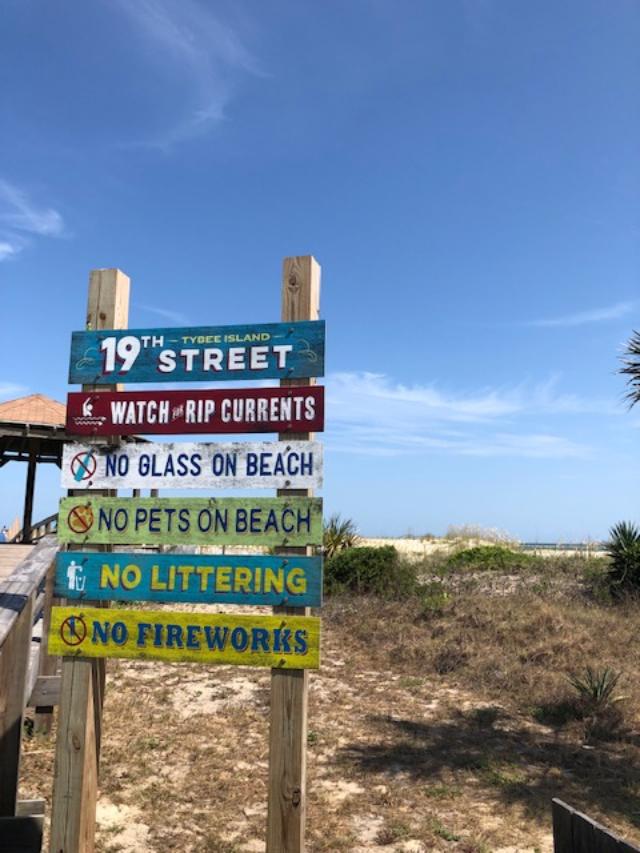 Tybee Island - Hello Lovely Studio