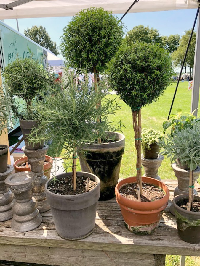 Topiaries! Come discover rustic fall decorating ideas in this photo gallery with ideas and resources! Vintage style, farmhouse decor, and junkin paradise in the fall - Main Street Market (Urban Farmgirl) in Belvidere, IL - Hello Lovely Studio. #fleamarket #vintage #farmhouse #countrydecor #midwest