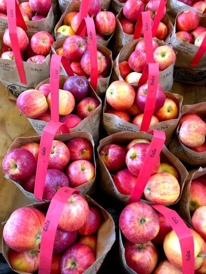 Fall decor inspiration from an apple orchard in Poplar Grove, IL (Edward's) - autumn magic in the heartland is hard to beat! Hello Lovely Studio. #falldecor #autumn #farmhousestyle #countrystyle #rusticdecor