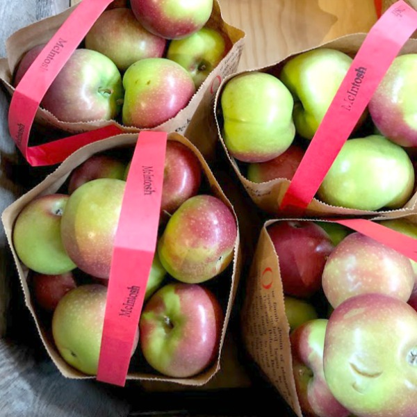 Fall decor inspiration from an apple orchard in Poplar Grove, IL (Edward's) - autumn magic in the heartland is hard to beat! Hello Lovely Studio. #falldecor #autumn #farmhousestyle #countrystyle #rusticdecor