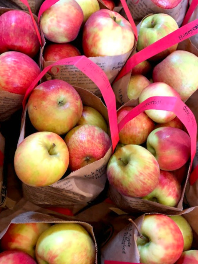 Fall decor inspiration from an apple orchard in Poplar Grove, IL (Edward's) - autumn magic in the heartland is hard to beat! Hello Lovely Studio. #falldecor #autumn #farmhousestyle #countrystyle #rusticdecor