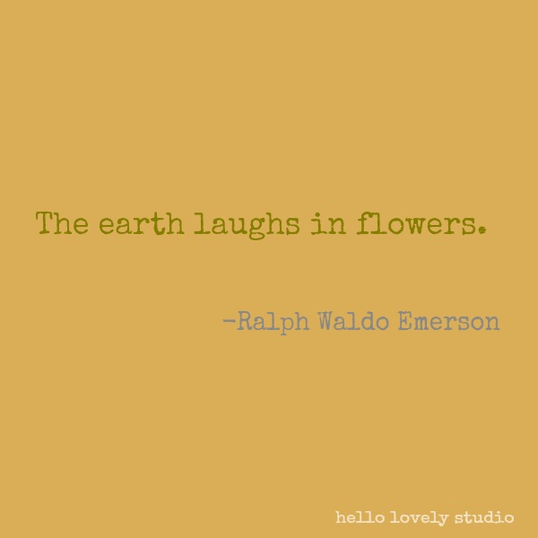 Inspirational quote about fall, autumn, flowers, and nature on Hello Lovely Studio. #inspirationalquote #autumn #nature
