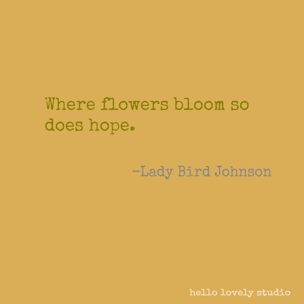 Inspirational quote about fall, autumn, flowers, and nature on Hello Lovely Studio. #inspirationalquote #autumn #nature