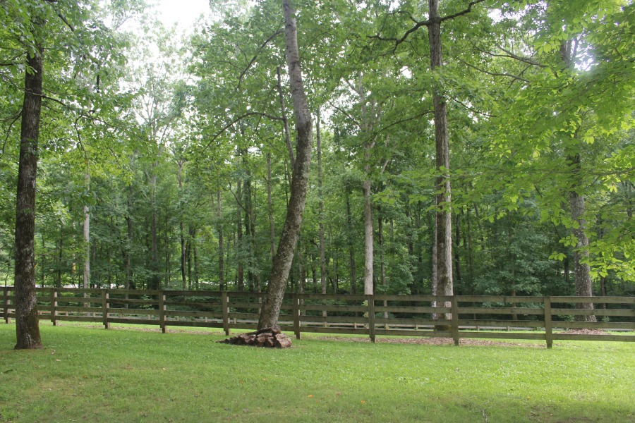 Secluded, woodsy, equestrian acreage at Storybook Cottage near Franklin, TN - Hello Lovely Studio.