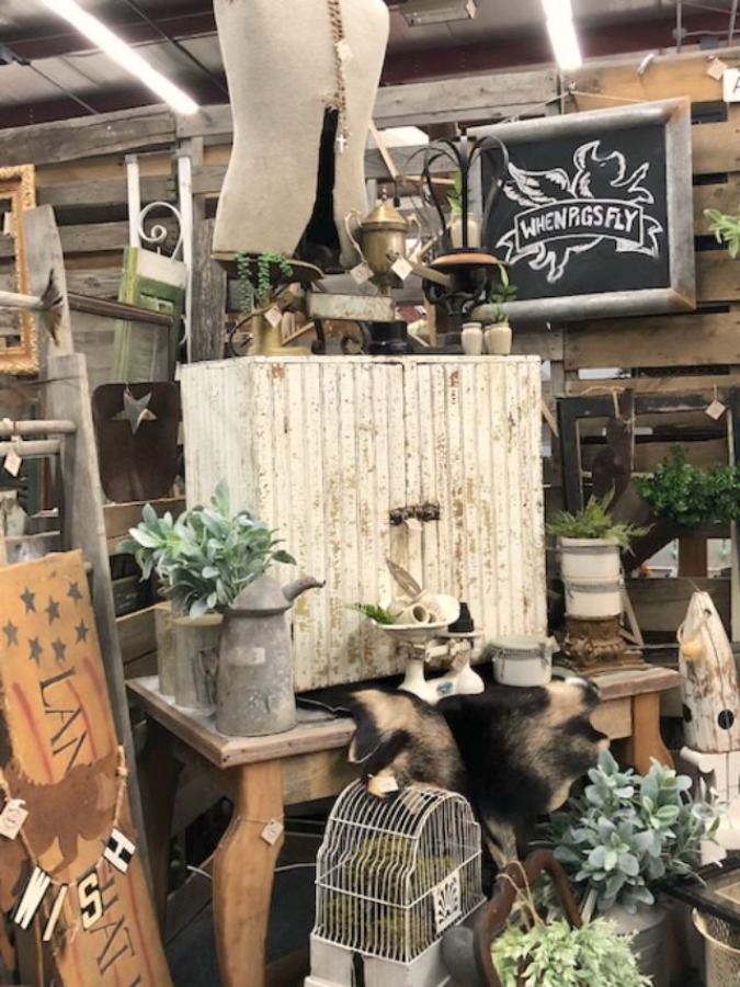 Rustic farmhouse decor, vintage flea market treasures, and LOVELY Fall and Autumn inspiration are flowing as I take you shopping with me for country goodness in the Northern Illinois and Southern Wisconsin. Hello Lovely Studio. #farmhousestyle #rusticdecor #countryhomes #fleamarket