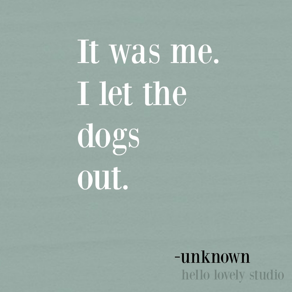 Funny whimsical quote with humor on Hello Lovely Studio. #dogquotes #doghumor #pethumor