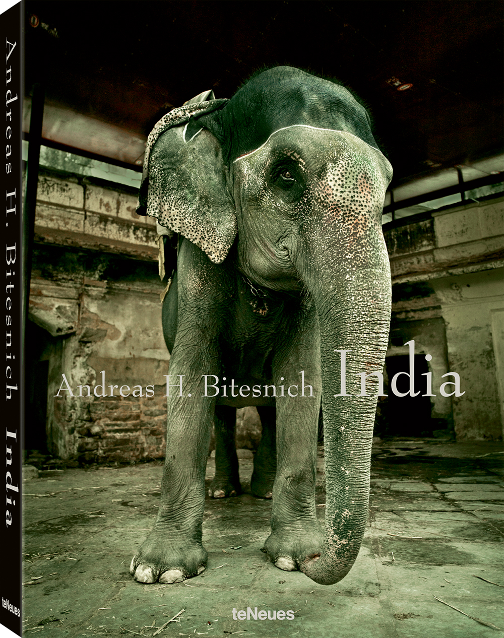 © India by Andreas H. Bitesnich, published by teNeues, $95, www.teneues.com