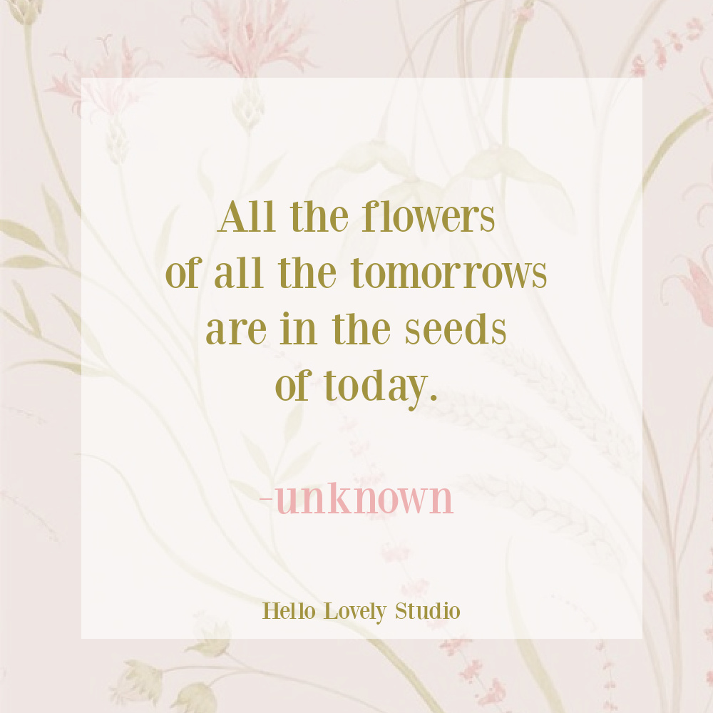 Spring inspirational quote about flowers on Hello Lovely Studio.
