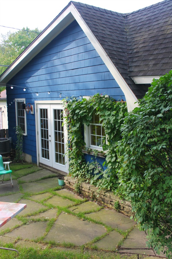 Vibrant blue exterior of the artist studio (climbing with ivy!) of Jenny Sweeney in Libertyville, IL. #cottage #colorfuldesign #climbingvines