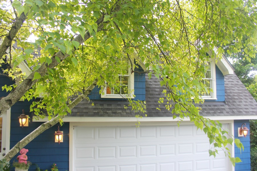 Vibrant blue exterior of the artist studio (climbing with ivy!) of Jenny Sweeney in Libertyville, IL. #cottage #colorfuldesign #climbingvines