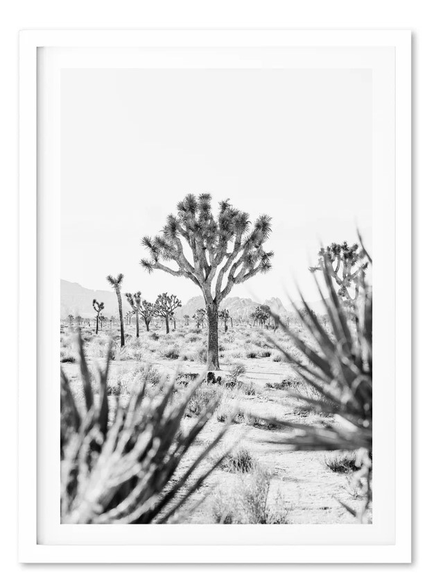 Joshua tree print from ShutterandFrame on Etsy.