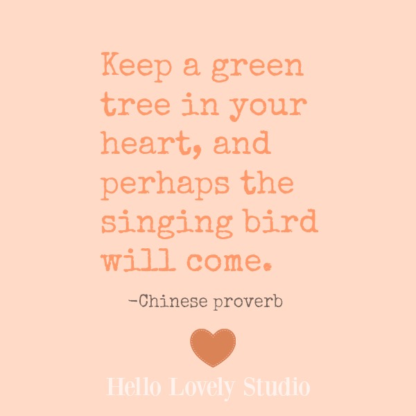 Inspirational quote to encourage and uplift on Hello Lovely Studio. #quotes #wonder #inspiration #goodness #encouragement