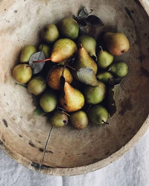 Gorgeous freshly picked pears in a rustic wood bowl - @the_tablescape_co #pears #autumnpears #autumnvibes #slowliving #farmhouseliving