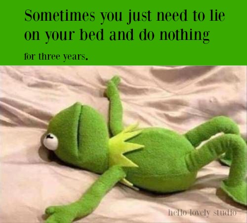 Funny Kermit meme with quote on Hello Lovely Studio. COME OVER TO LAUGH at Silly Humor Quotes, Smiles & Serious Laugh Therapy! #meme #kermit #funny #humor