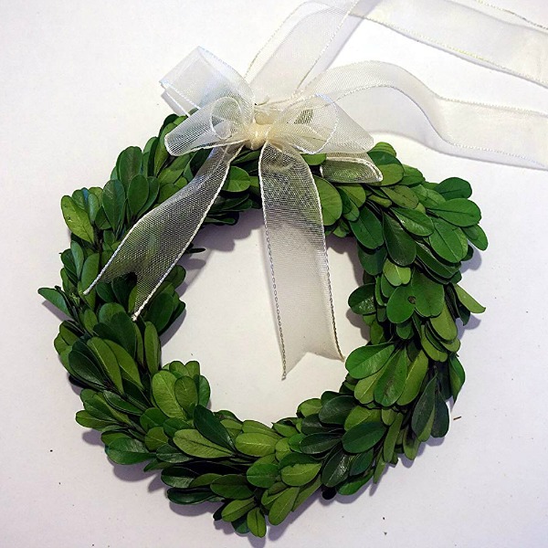 6 inch preserved boxwood wreath for the holidays! #christmaswreath #boxwood