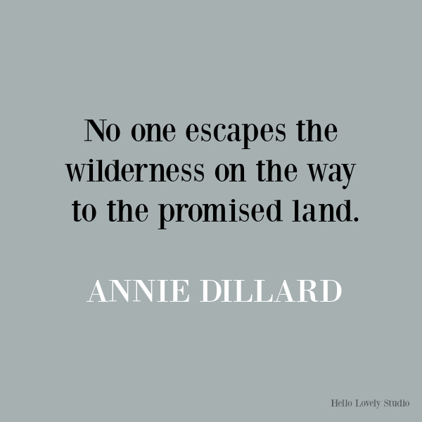 Annie Dillard inspirational quote on Hello Lovely Studio. #quotes #anniedillard #personalgrowth #lifequotes