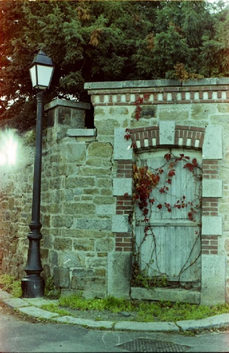 Gorgeous French country stone exterior with aqua blue green and climbing vines on rustic wood door - Mariline.Film. #frenchcountry #bluegreen #climbingvines #exterior #rusticfrench #frenchfarmhouse