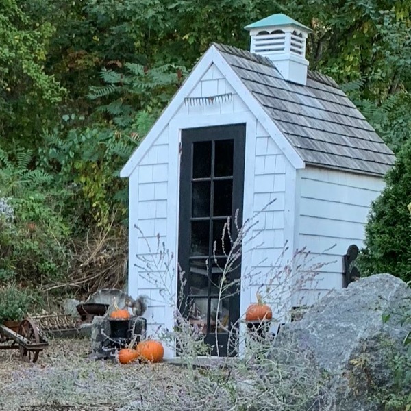 A charming custom backyard potting shed with cupola adds rustic charm to a Massachusetts property with design by Amy Chalmers of Maison Decor. #gardenshed #sheshed #cottage #maisondecor