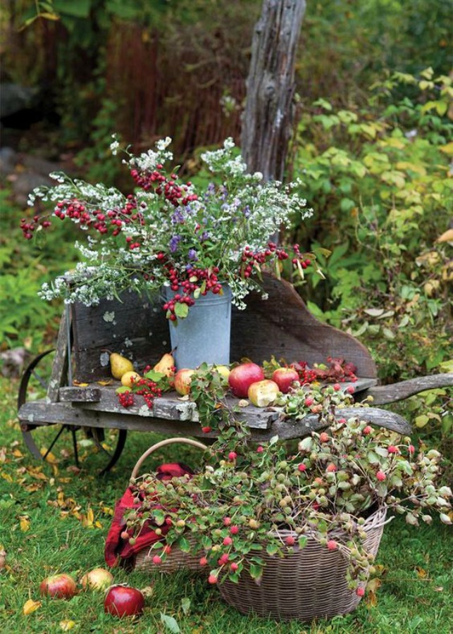 Charming and colorful autumn outdoor vintage country inspiration with wheelbarrow and blooms - The Cottage Journal. #falldecor #autumngarden #wheelbarrow #countrydecor #cottagestyle