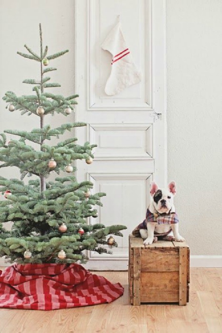 French farmhouse Christmas tree with red and pink skirt, vintage door, and bulldog in cape! Dreamywhites.