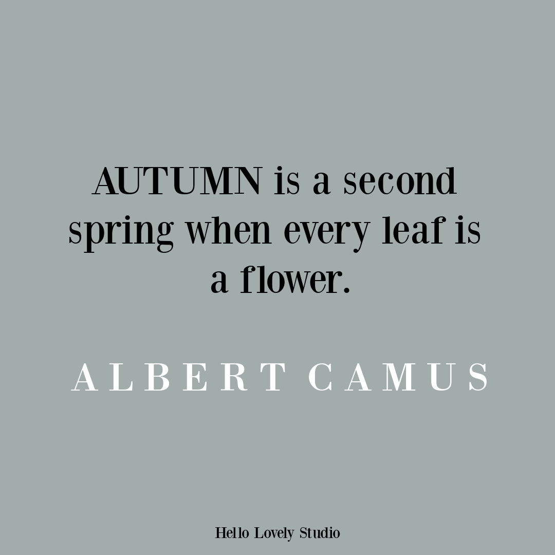 Autumn or Fall Quote to inspire and soothe - Hello Lovely Studio. #fallquotes #autumnquotes #inspirationalquotes