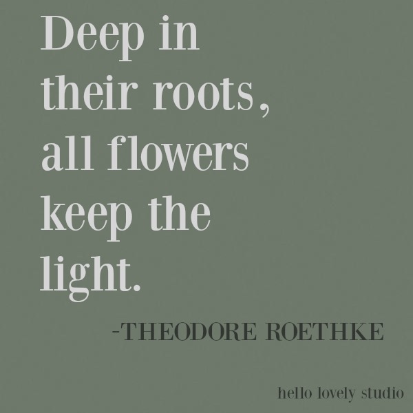 Inspiring quote of encouragement on Hello Lovely Studio about flowers from Theodore Roethke. #inspirational #quote #kindness #encouragement #Roethke