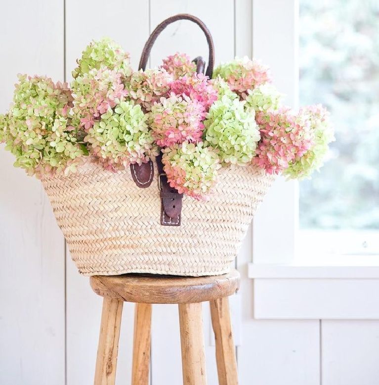 Beautiful French farmhouse moment with market basket full of dried hydrangea in fall - A Rosy Note. #fallflorals #driedhyrdrangea #frenchfarmhouse #marketbasket