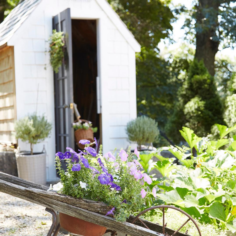 Amy Chalmer's charming backyard shed and garden with wheelbarrow featured in Nora Murphys Country House. #gardens #countrygarden #frenchcountry #gardenshed