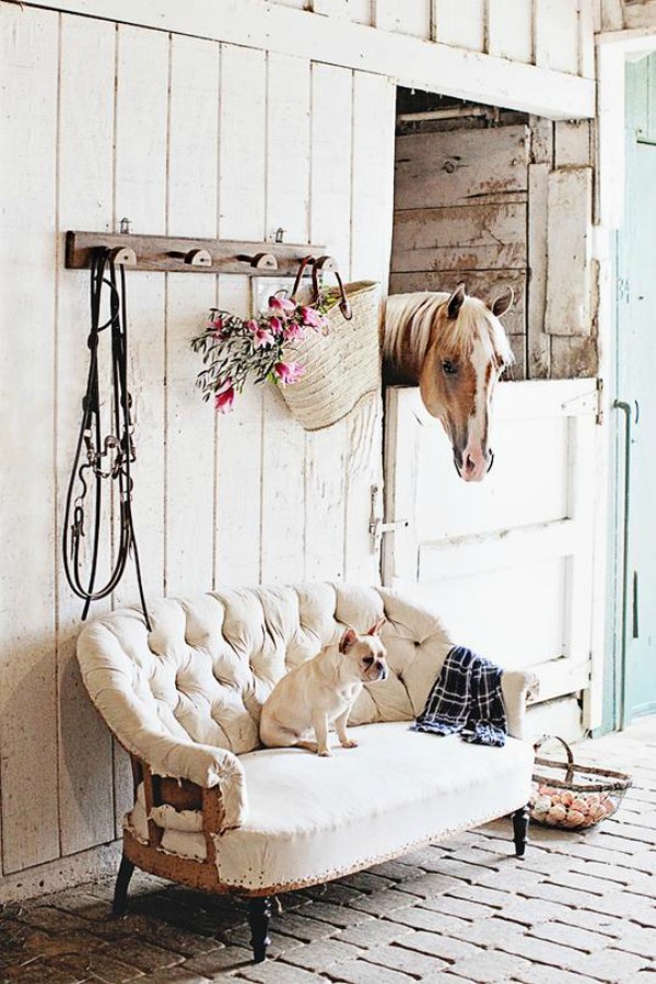 Rustic white stable with horse, French bulldog, and Dreamy Whites style! #whitefarmhouse #frenchfarmhouse #stables