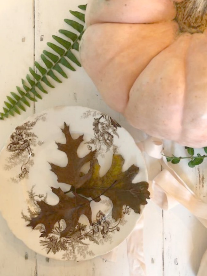 Soft serene fall color palette decor from Cinderella pumpkins, pale pink ballet slippers, and natural fallen leaves upon my kitchen farm table - Hello Lovely Studio. #pastels #softcolors #autumn #decorating #fallcolor #shabbychic