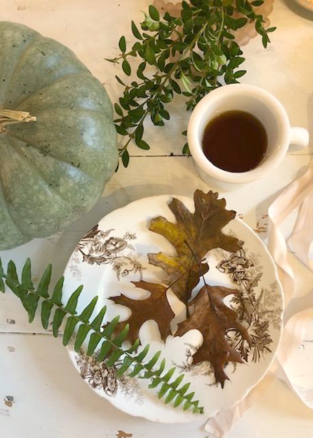 serene fall color palette decor